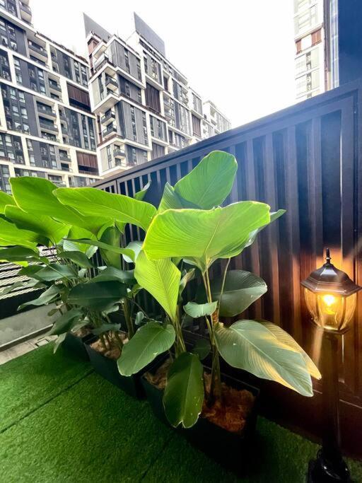Pangsapuri New Arcoris Mont Kiara Huge Balcony For 8 Pax 2 Bedroom -garden- *
